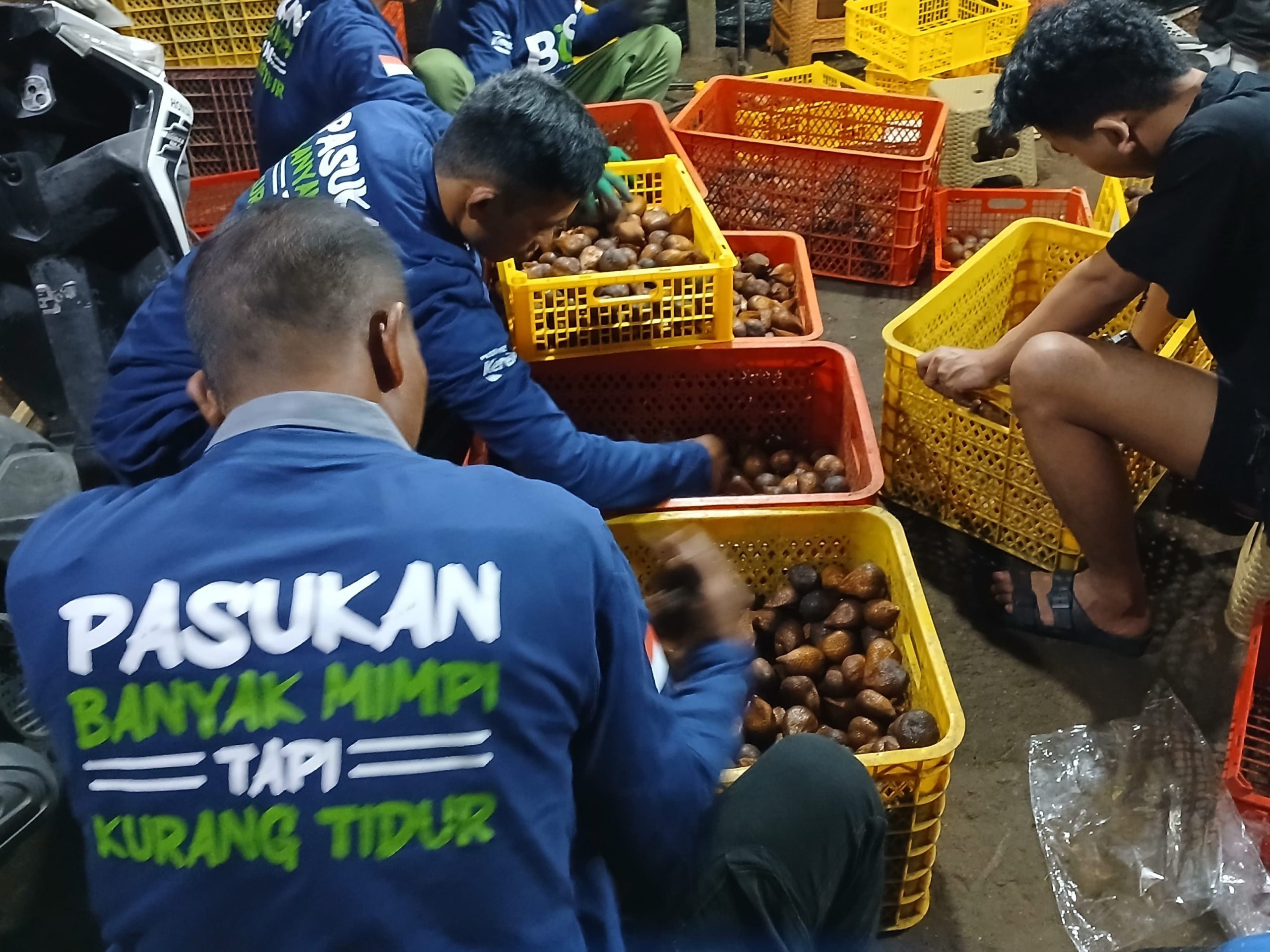 Salak sorting by Bali Organik Subak